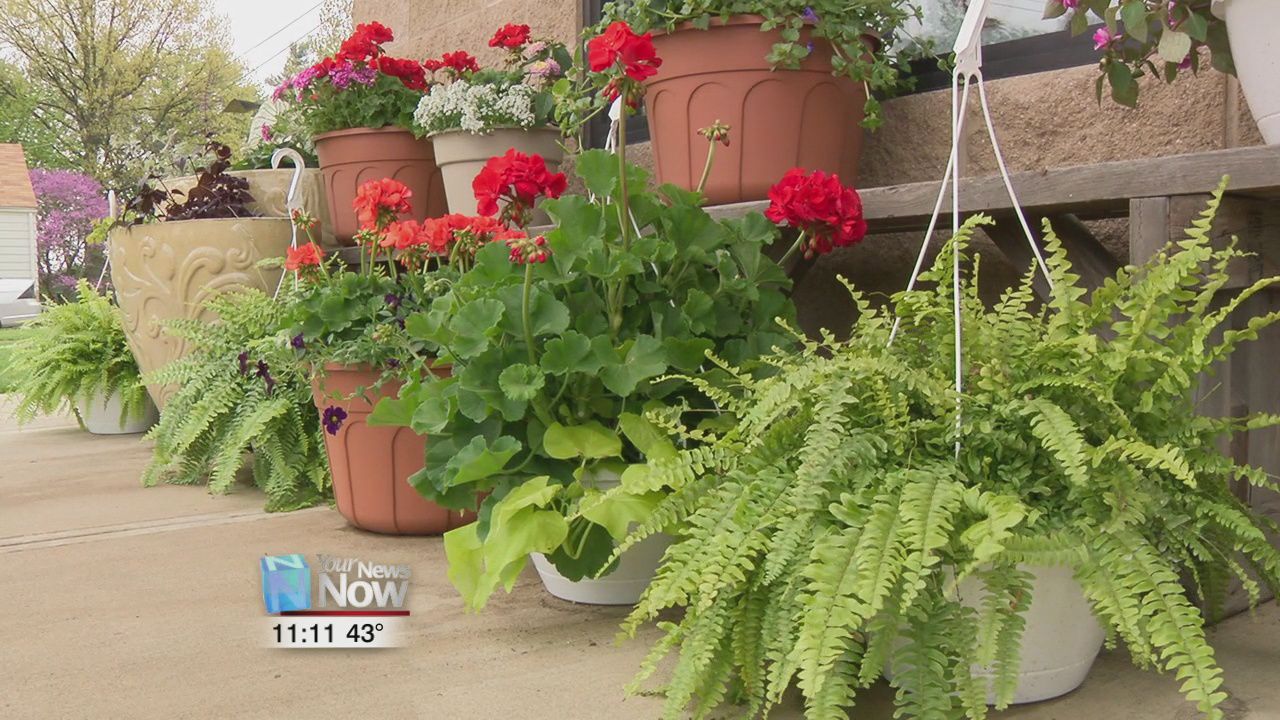 How local businesses want to make this Mother's Day special